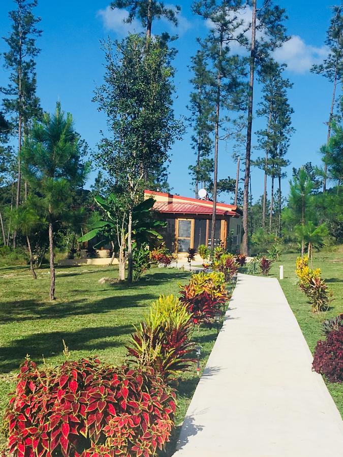 Kane Villas - Mountain Pine Ridge San Ignacio Ngoại thất bức ảnh